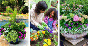 Lowe’s Gardening Center